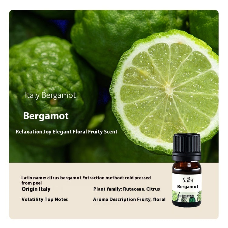 Solid Wood Vehicle Plant Aromatherapy Oil Aroma Diffuser