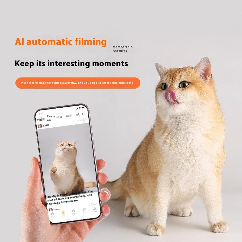 Pet Home Smart Monitoring Mobile Phone Remote Viewing