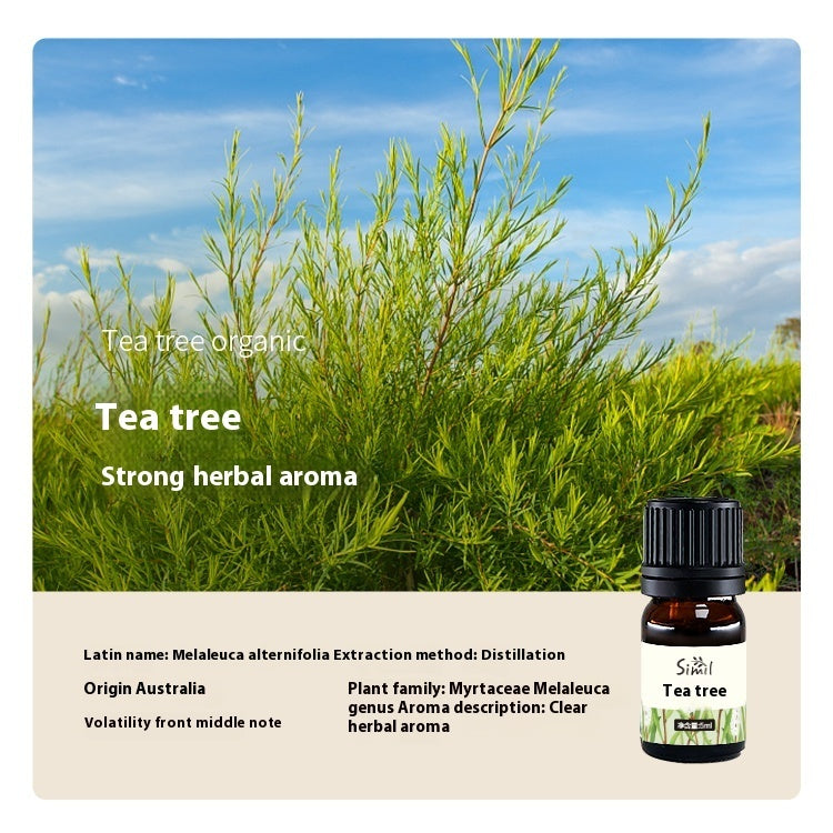 Solid Wood Vehicle Plant Aromatherapy Oil Aroma Diffuser