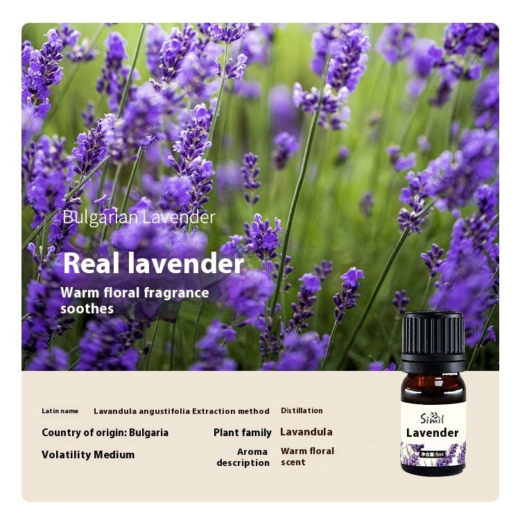 Solid Wood Vehicle Plant Aromatherapy Oil Aroma Diffuser