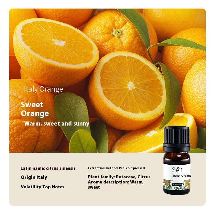 Solid Wood Vehicle Plant Aromatherapy Oil Aroma Diffuser