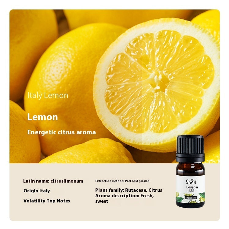 Solid Wood Vehicle Plant Aromatherapy Oil Aroma Diffuser