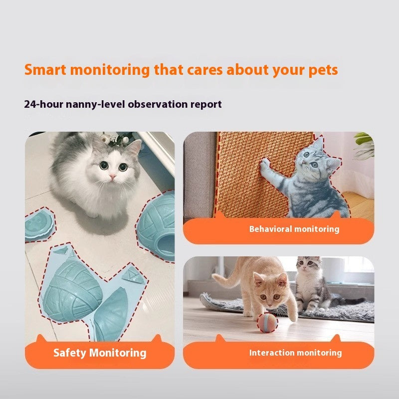 Pet Home Smart Monitoring Mobile Phone Remote Viewing