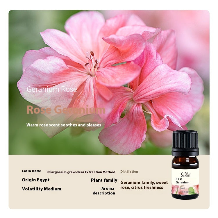 Solid Wood Vehicle Plant Aromatherapy Oil Aroma Diffuser