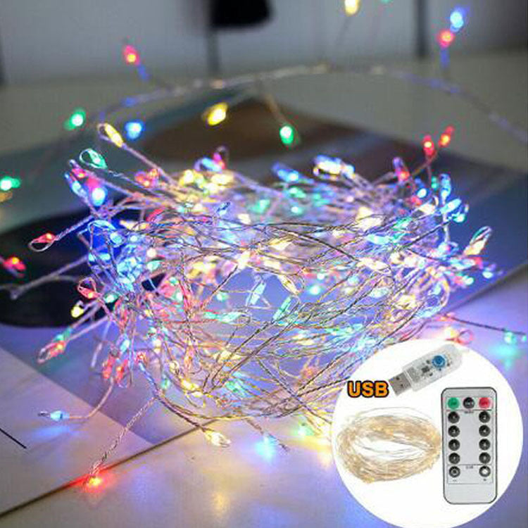Led Copper Wire Firecracker Light String Controller Warm White Layout Decoration Wedding Party Gypsophila