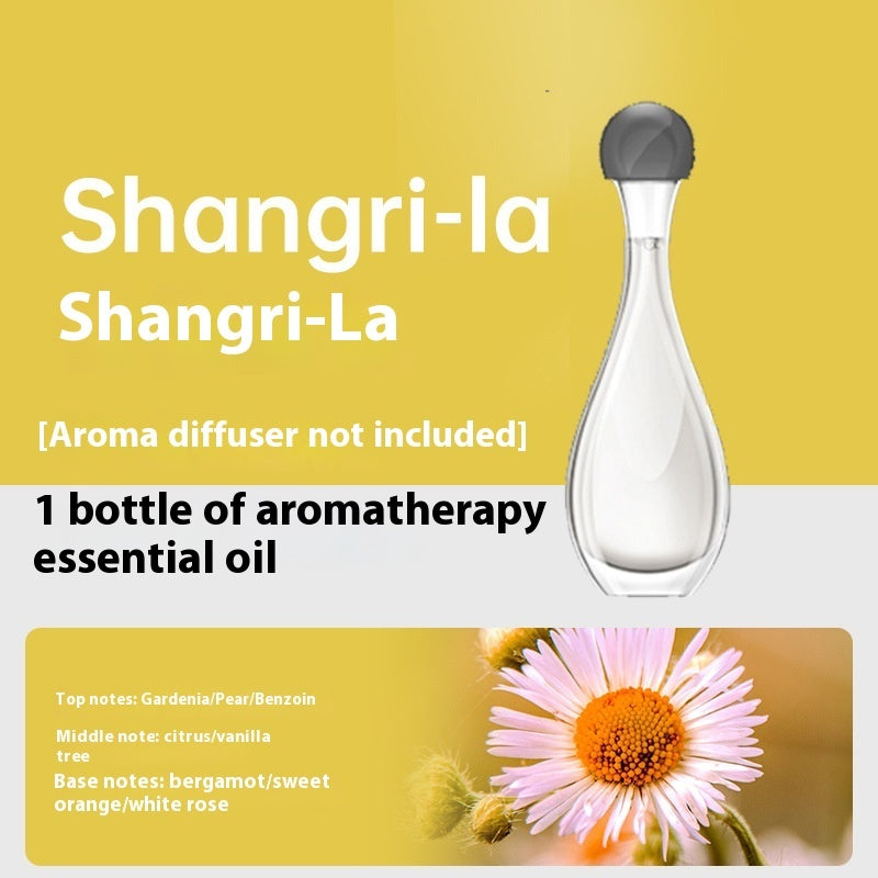 Automatic Aroma Diffuser Hotel Spray Deodorant