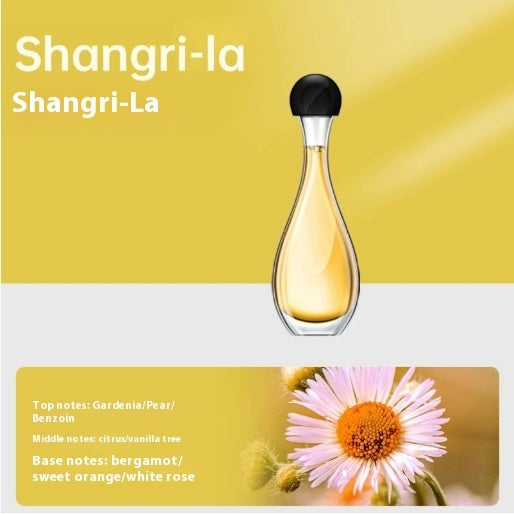 Air Deodorant Mosquito Repellent Ultrasonic Aroma Diffuser