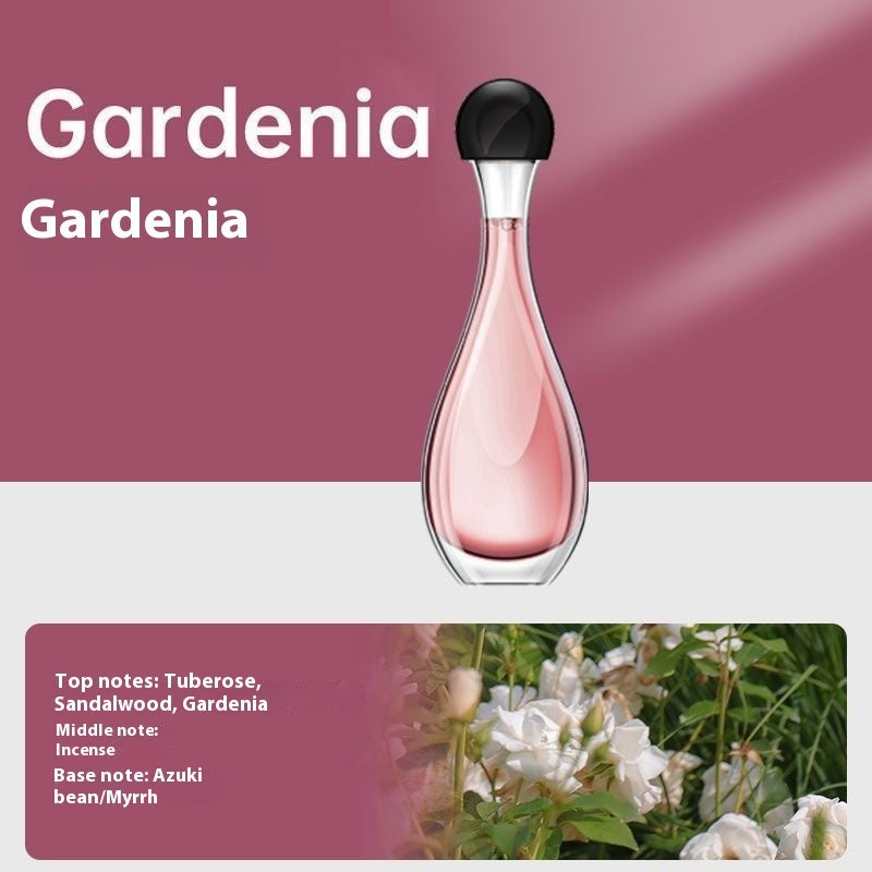 Air Deodorant Mosquito Repellent Ultrasonic Aroma Diffuser